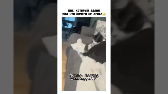 Оскар в студию
