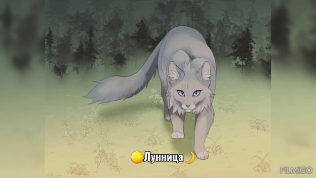 Воробей//Лунница//Серебрянка.