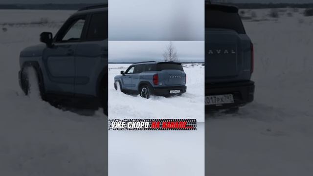 Chery Tiggo 7 vs Haval H5. Скоро на канале!