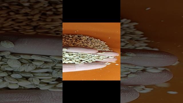 Мельница для солода