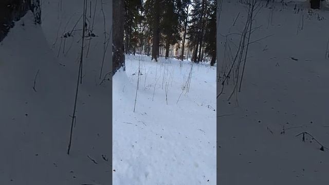 VID-20250112-WA0013
