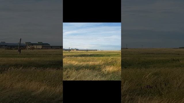 Лето в деревне.01.07.23г