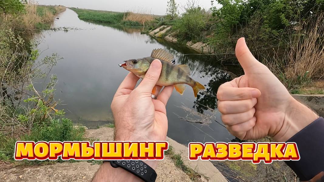 Мормышинг разведка.