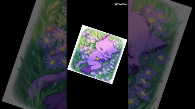 CatNap- Belive