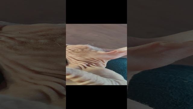 VID_20250110_163952.mp4