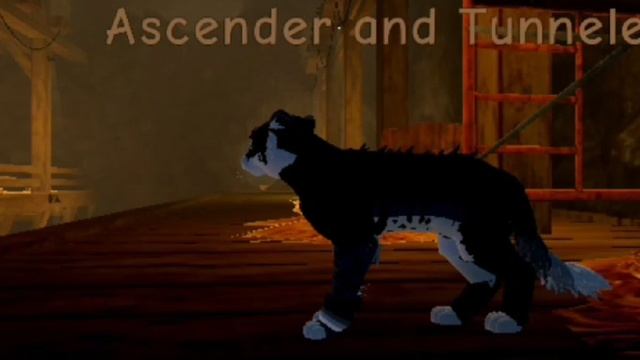 _/'Star Paws'\_