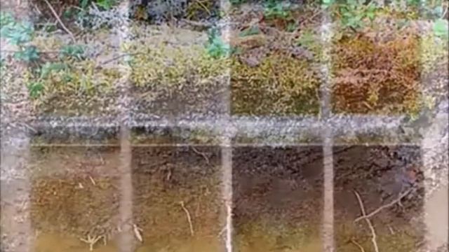 1000170007.mp4