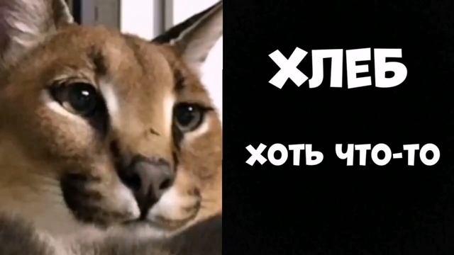 Твоя еда в столовке: | Грустные Лица Шлёпы #оживляюмемпрошлепу