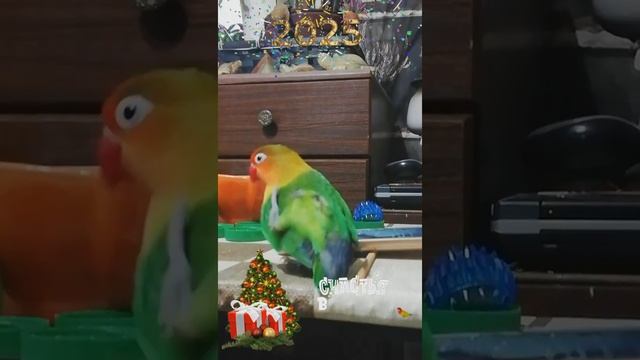 Snapchat-2020678696.mp4