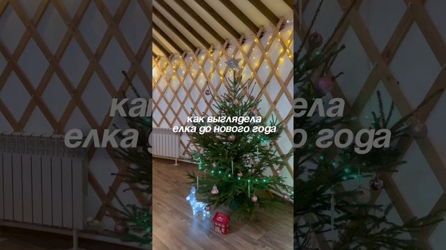 Что стало с елкой после Нового года