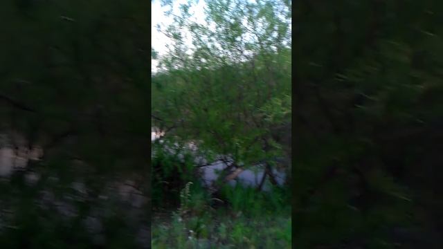 Горбунок 2.mp4