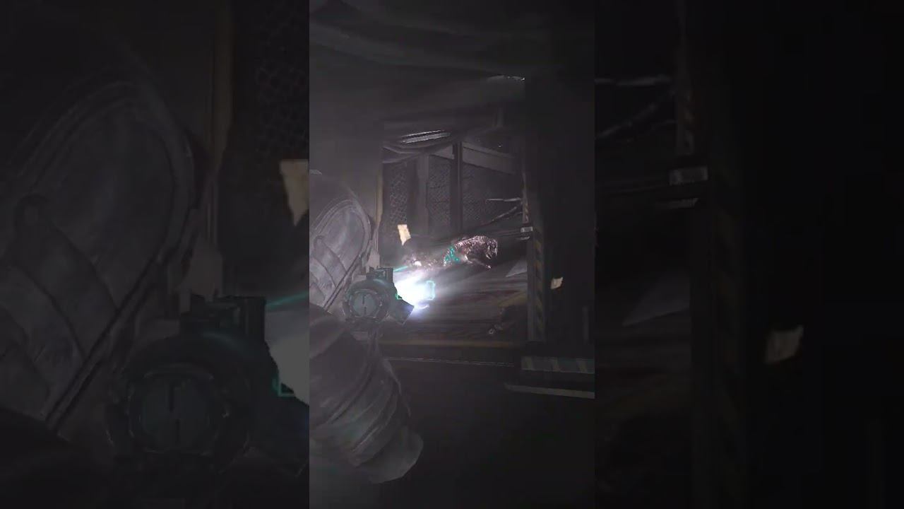 Атака петушар! Полное видео на канале!