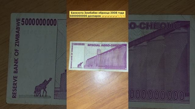 Банкнота Зимбабве 🇿🇼 5000000000 долларов образца 2008 года