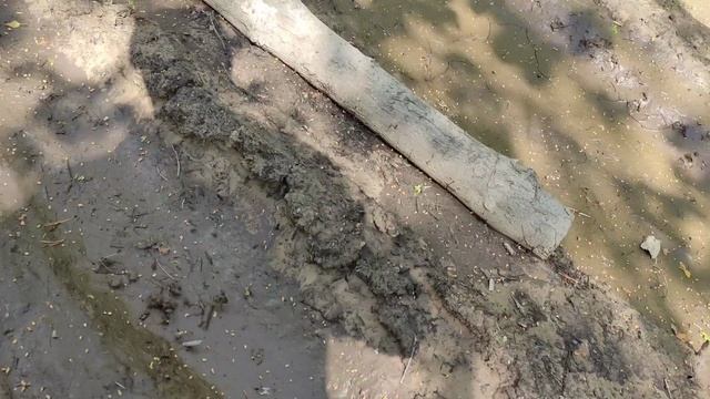 Квадрокоп 6.06.2021г. ВИДЕО #1 Исчезнувшая деревня Желтовка.