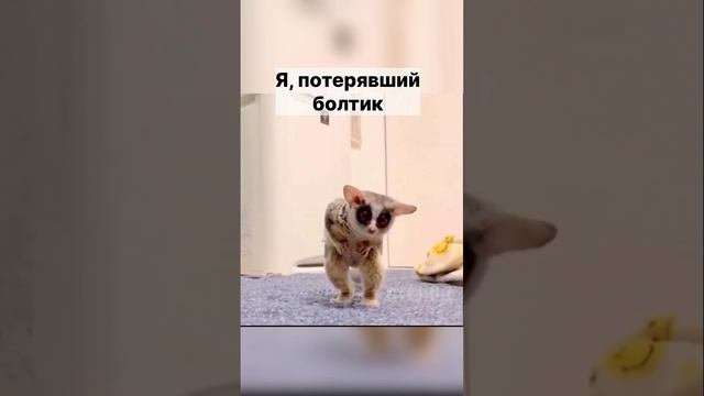 Когда потерял болтик