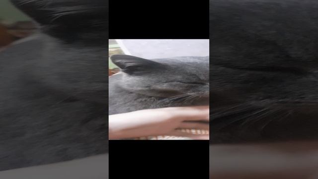 20250114_185253.mp4