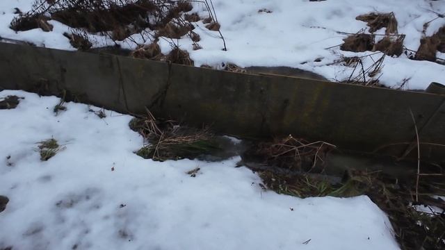 Видео привет с дачи 11.01.2025