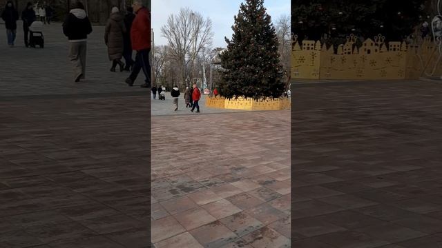 ГорСад, Волгоград 12 января 2025.mp4