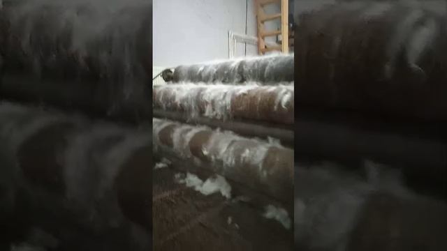 Ческа шерсти.