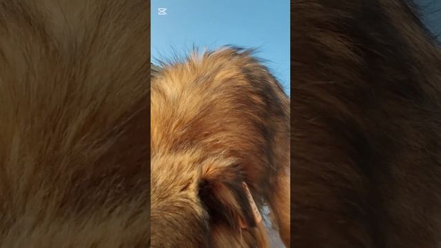 Угостила Ёжика паштетом от Наташи