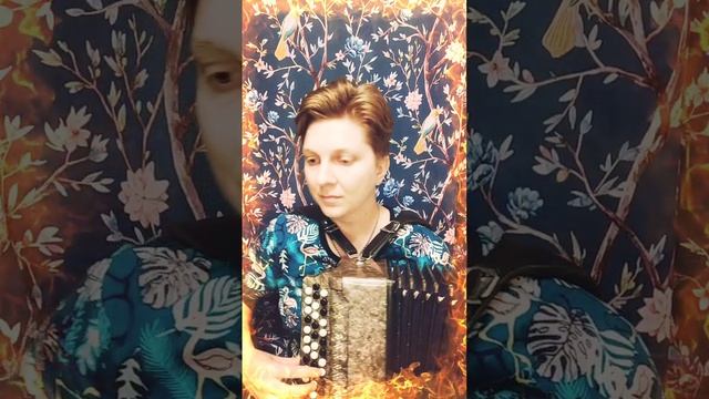 Под окном широким - народные песни на баяне