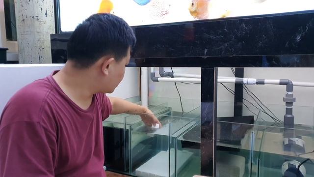 VIVARIA POWER CUBE - RUMAH BAKTERI YANG COCOK UNTUK SUMP FILTER