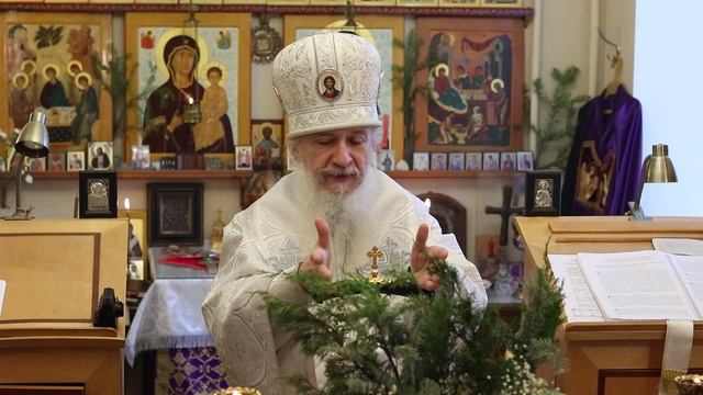 Проповедь епископа Амвросия (Тимрота) на праздник Обрезания Господня, 14 января 2025 года