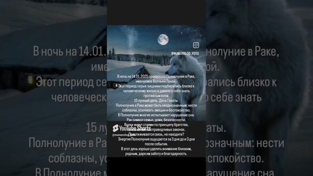 14.01.2025 - Волчье Полнолуние❄️.mp4