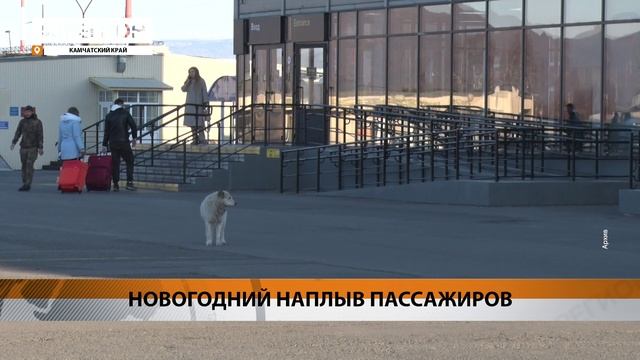 БОЛЕЕ 23 ТЫСЯЧ ПАССАЖИРОВ В НОВОГОДНИЕ ПРАЗДНИКИ ОБСЛУЖИЛ АЭРОПОРТ ЕЛИЗОВО • НОВОСТИ КАМЧАТКИ