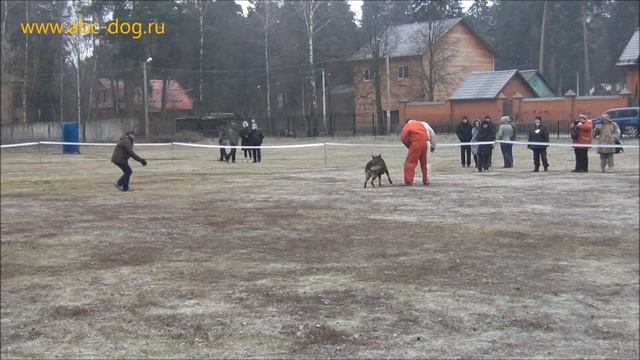 Большой ринг в Ильинке.