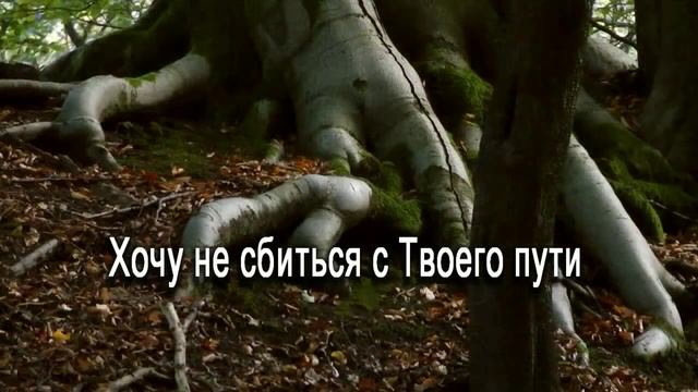 Я так устал