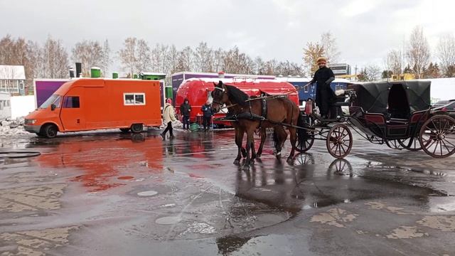 Лошади на съёмках