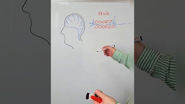 Пища для мозга