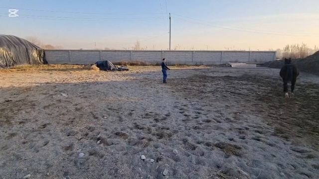 корда 5.mp4