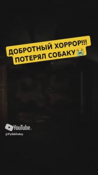 НЕЧИСТЬ ПОХИТИЛА СОБАКУ!!! Добротный хоррор!!! 👍👍👍 #игры #хоррор #хоррор2024 #ужасы