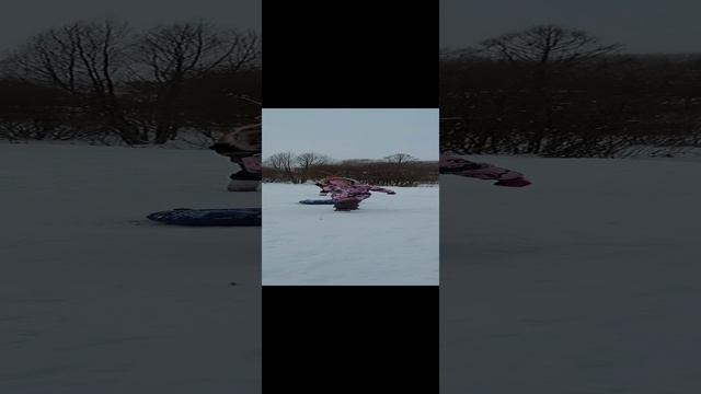 Бабушка, Маша и бублик