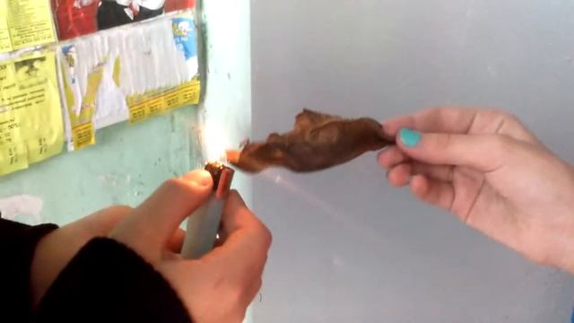 Эййй детка, я стреляю метко))))