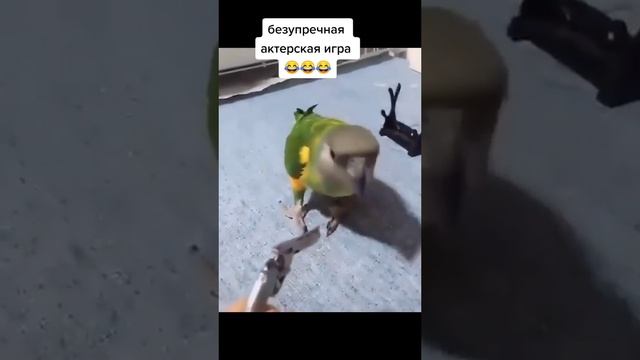 вот это мем