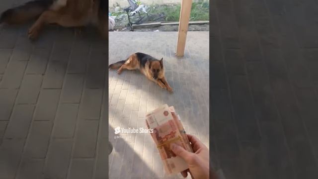 деньги деньги