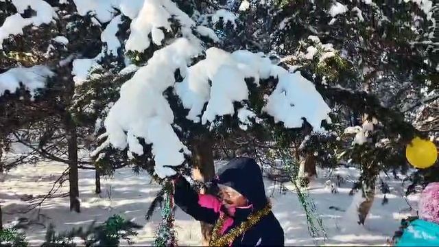 Старый Новый год в горах с Галиной 14.01.25.