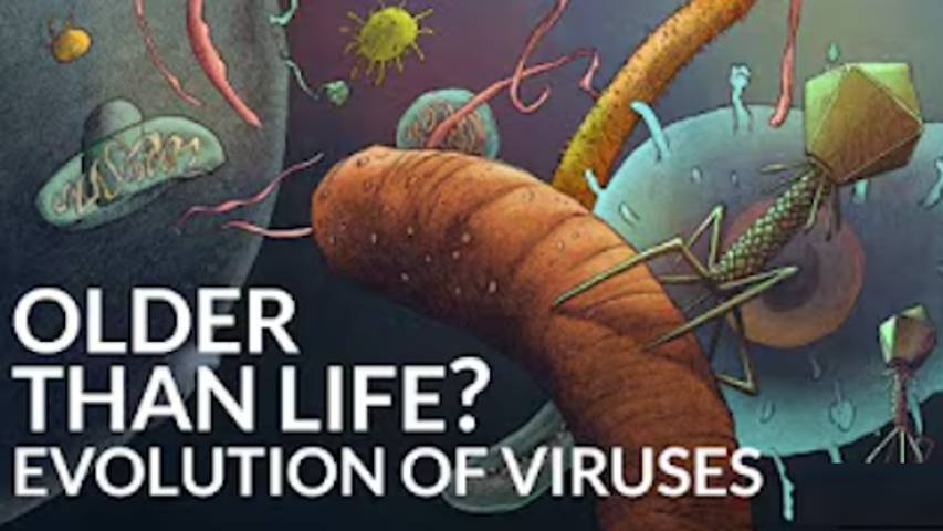 Старше чем сама жизнь? Эволюция вирусов (What Was The First Virus?)