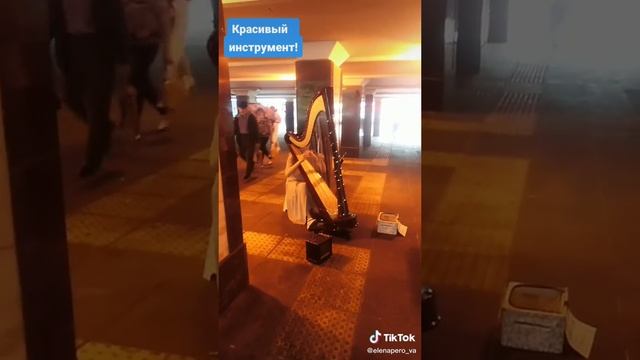 Музыка в метро. Арфа