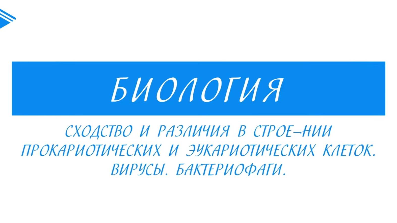 10 класс - Биология - Сравнение строения клеток прокариотов и эукариотов. Вирусы. Бактериофаги