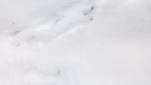 В конце декабря
