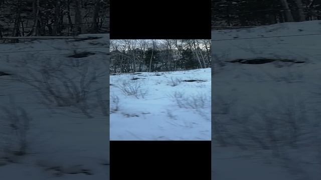 зимний пермский край