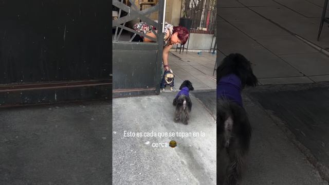 1000071320.mp4