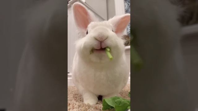 1000092965.mp4