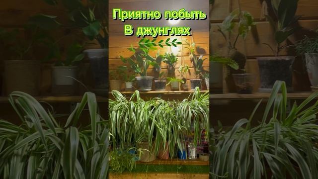 То самое чувство, когда попросила у Мужа полочку и он сразу её сделал ❤️♥️❤️