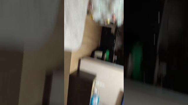 проба 1