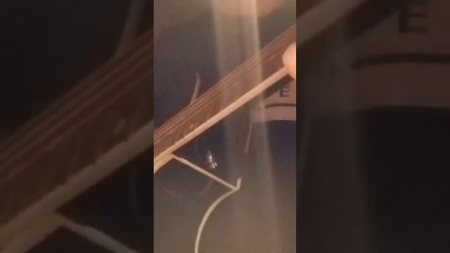 Сектор🎸пора домой 🎸кавер 🎸